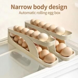 Double-Layer Automatic Egg Storage Box